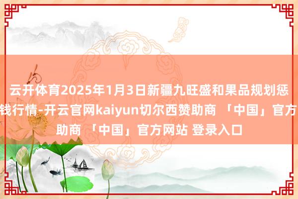 云开体育2025年1月3日新疆九旺盛和果品规划惩办有限公司价钱行情-开云官网kaiyun切尔西赞助商 「中国」官方网站 登录入口